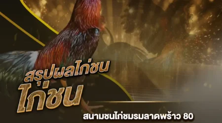 ผลไก่ชน 25 กรกฎาคม 2567