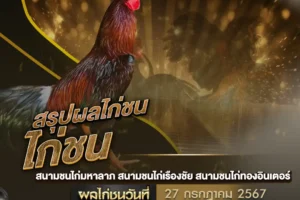 ผลไก่ชน 27 กรกฎาคม 2567