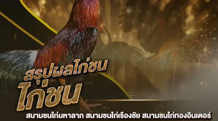 ผลไก่ชน 27 กรกฎาคม 2567