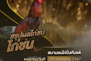 ผลไก่ชน 29 กรกฎาคม 2567