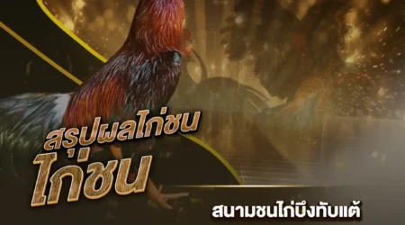 ผลไก่ชน 29 กรกฎาคม 2567