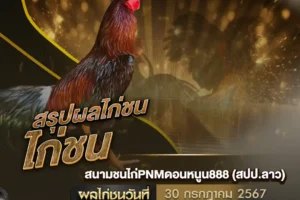 ผลไก่ชน 30 กรกฎาคม 2567