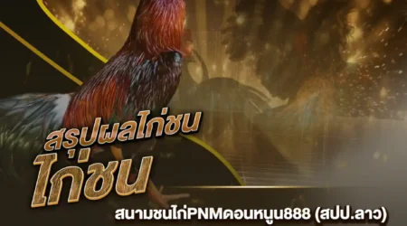 ผลไก่ชน 30 กรกฎาคม 2567