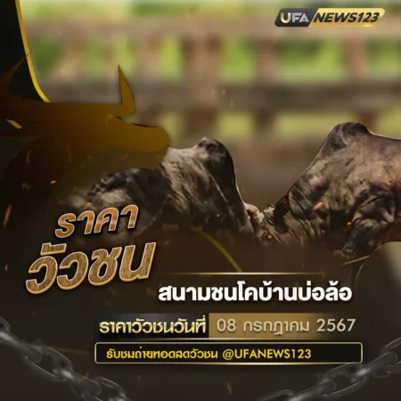 ราคาวัวชน 08 กรกฎาคม 2567