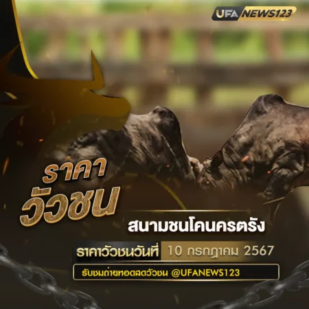 ราคาวัวชน 10 กรกฎาคม 2567