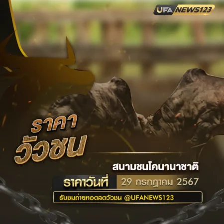 ราคาวัวชน 29 กรกฎาคม 2567