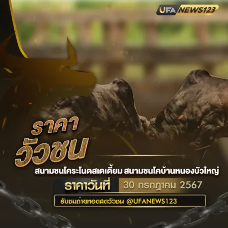 ราคาวัวชน 30 กรกฎาคม 2567