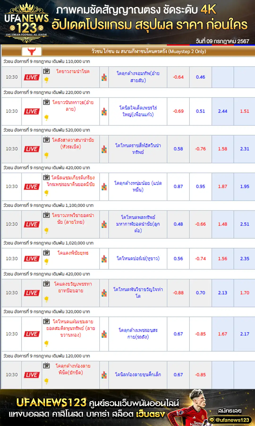 ราคาวัวชน สนามชนโคนครตรัง 09 กรกฎาคม 2567