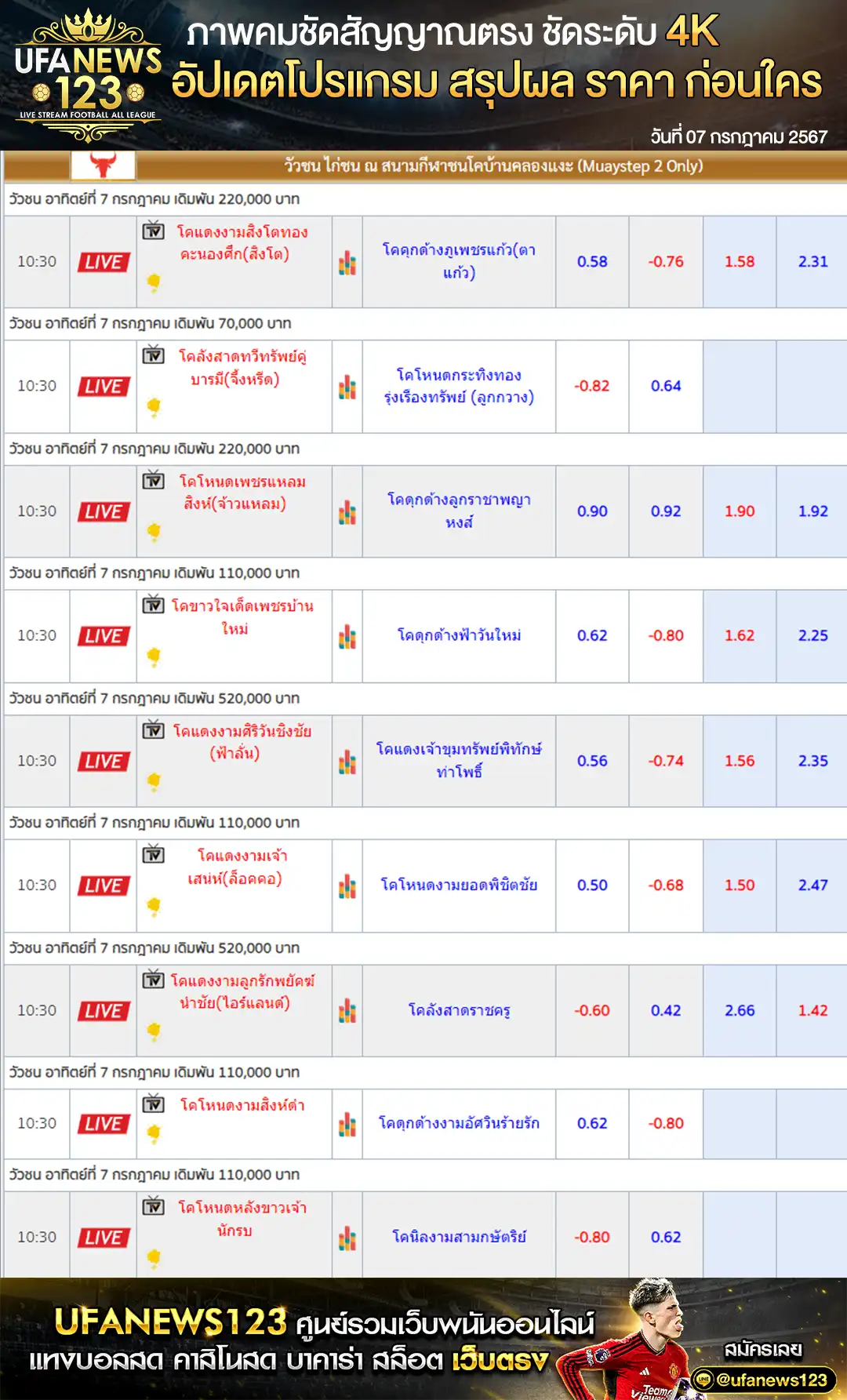 ราคาวัวชน สนามชนโคบ้านคลองแงะ 07 กรกฎาคม 2567