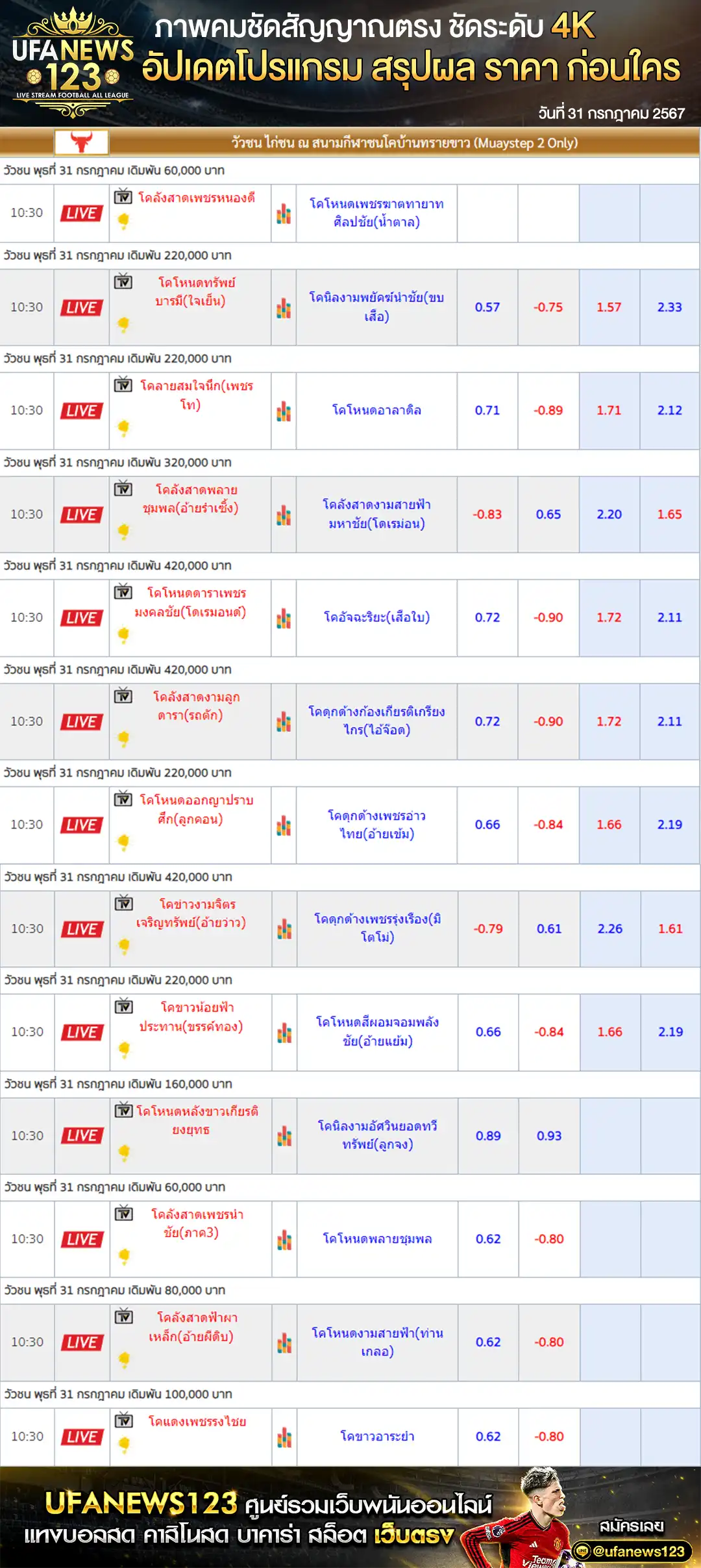 ราคาวัวชน สนามชนโคบ้านทรายขาว เริ่มชนเวลา 10.30 น. 31 กรกฎาคม 2567