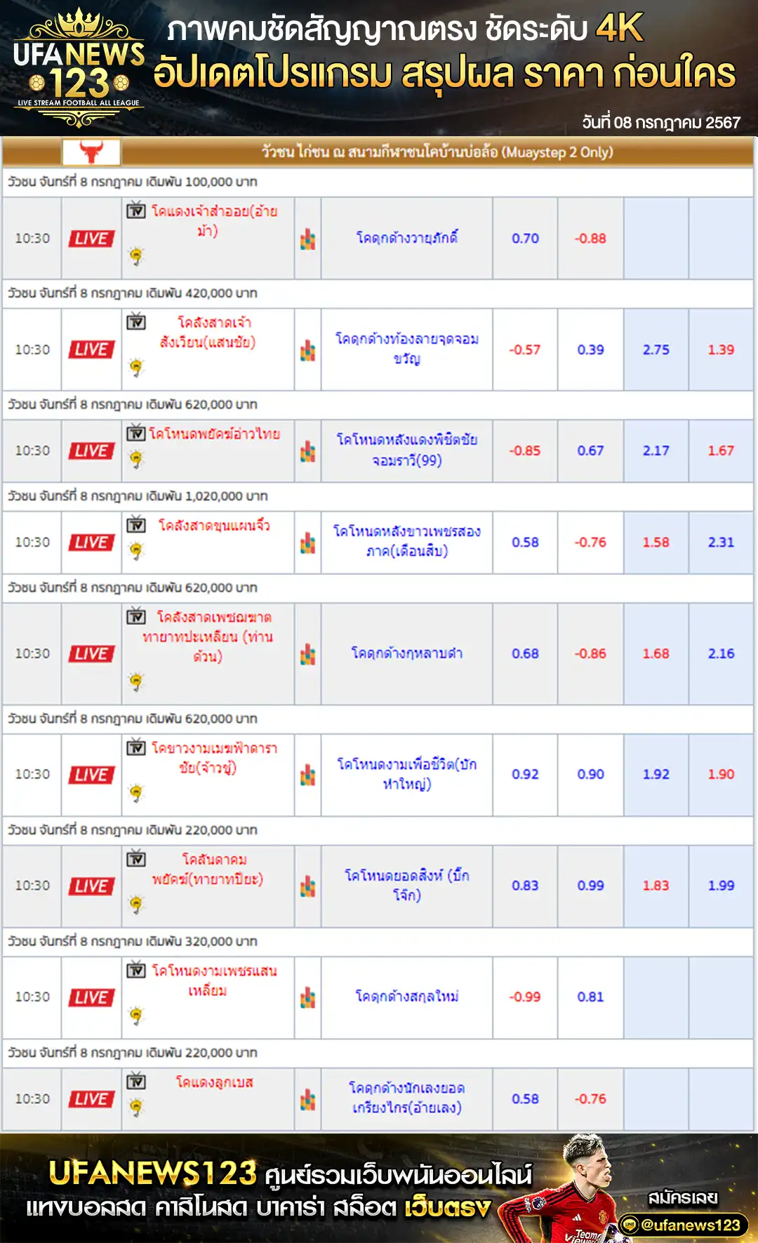 ราคาวัวชน สนามชนโคบ้านบ่อล้อ 08 กรกฎาคม 2567