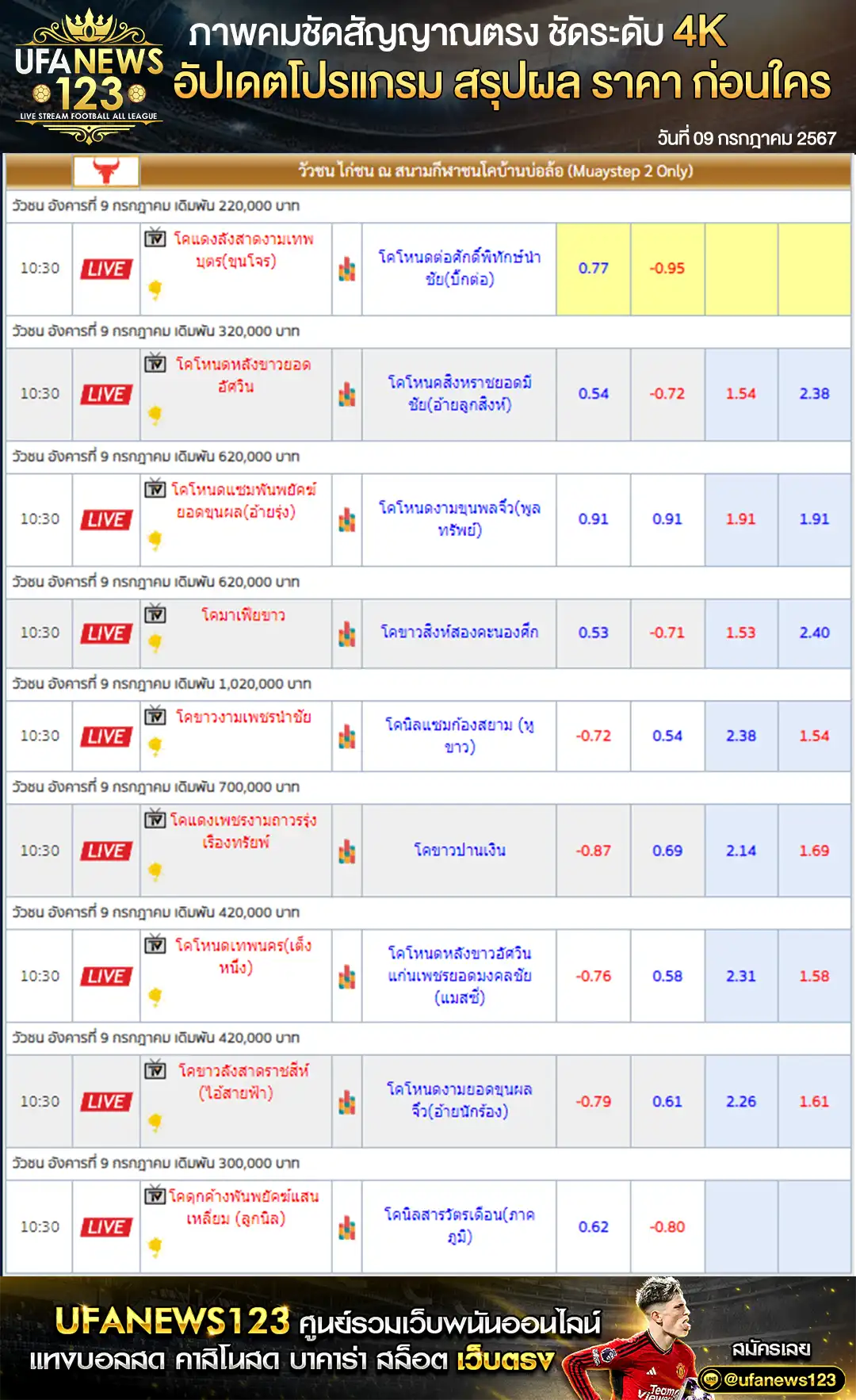 ราคาวัวชน สนามชนโคบ้านบ่อล้อ 09 กรกฎาคม 2567