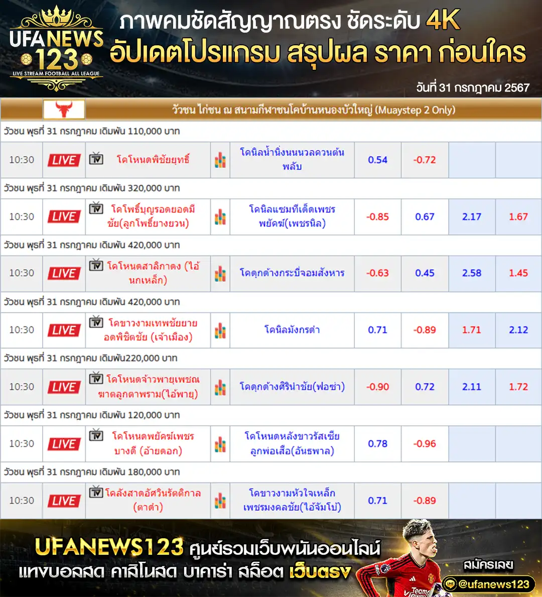 ราคาวัวชน สนามชนโคบ้านหนองบัวใหญ่ เริ่มชนเวลา 10.30 น. 31 กรกฎาคม 2567