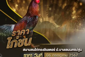 ราคาไก่ชน 06 กรกฎาคม 2567