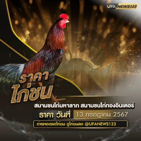 ราคาไก่ชน 13 กรกฎาคม 2567