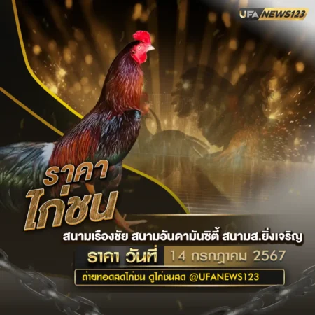 ราคาไก่ชน 14 กรกฎาคม 2567