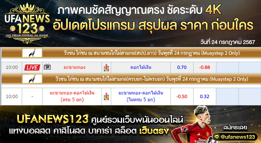 ราคาไก่ชน สนามชนไก่ไผ่สามกอ (สปป.ลาว) เริ่มเวลา 10.00 น. 24 กรกฎาคม 2567