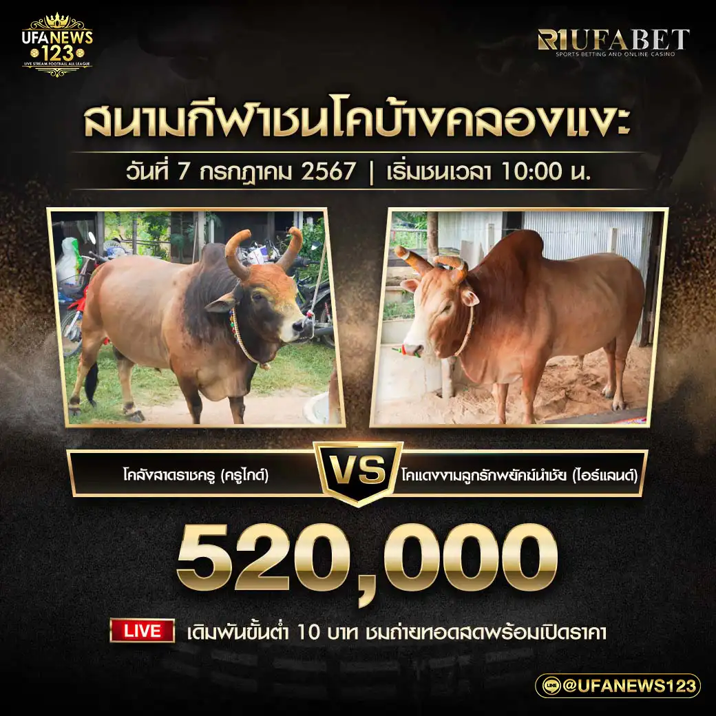 ลังสาดราชครู (ครูไกด์) VS แดงงามลูกรักพยัคฆ์นําชัย (ไอร์แลนด์) ชิงรางวัล 520,000 บาท