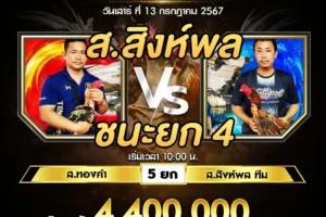 เทปไก่ชน ส.ทองคำ VS ส.สิงห์พล 13 กรกฎาคม 2567