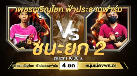 เทปไก่ชน เพชรเจริญโชค VS หนุ่มเมืองพระอา 29 มิถุนายน 2567