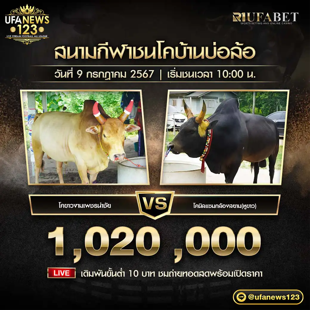 โคขาวงามเพชรนำชัย VS โคนิลแซมก้องสยาม (หูขาว) ชิงรางวัล 1,020,000 บาท