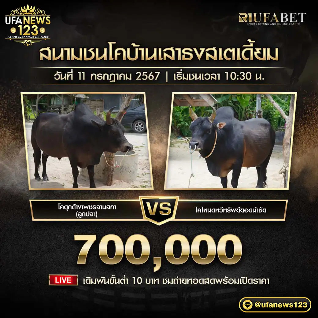 โคดุกด้างเพชรลานสกา (ลูกปลา) VS โคโหนดทวีทรัพย์ยอดนำชัย ชิงรางวัล 700,000 บาท