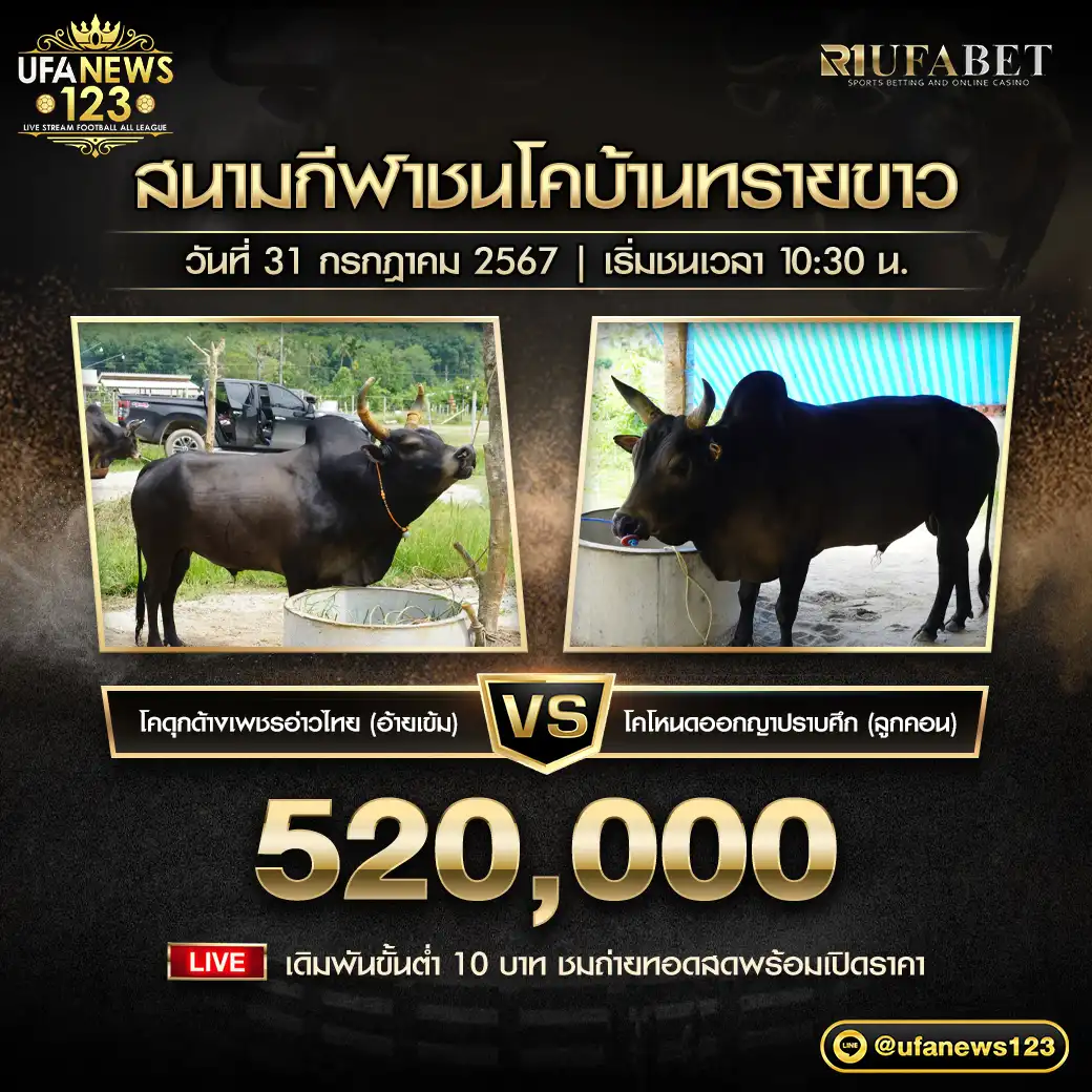 โคดุกด้างเพชรอ่าวไทย (อ้ายเข้ม) VS โคโหนดออกญาปราบศึก (ลูกคอน) ชิงรางวัล 520,000 บาท