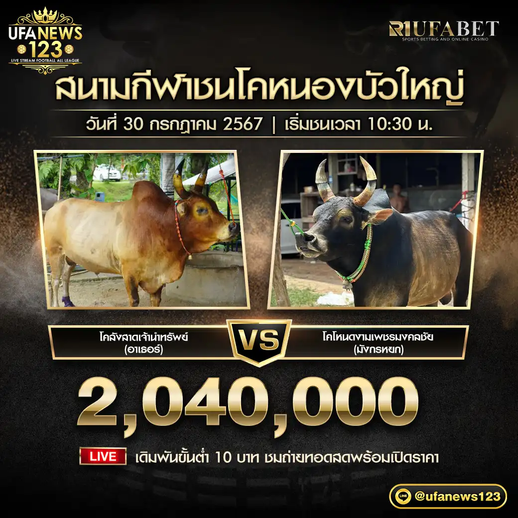 โคลังสาดเจ้านำทรัพย์ (อาเธอร์) VS โคโหนดงามเพชรมงคลชัย (มังกรหยก) ชิงรางวัล 2,040,000 บาท