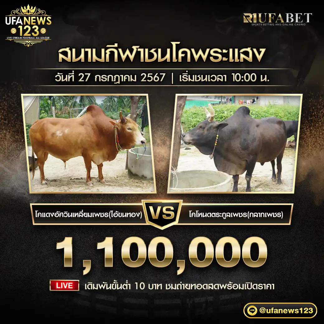 โคแดงอัศวินเหลี่ยมเพชร (ไอ้ขนทอง) VS โคโหนดตระกูลเพชร (กลากเพชร) ชิงรางวัล 1,100,000 บาท