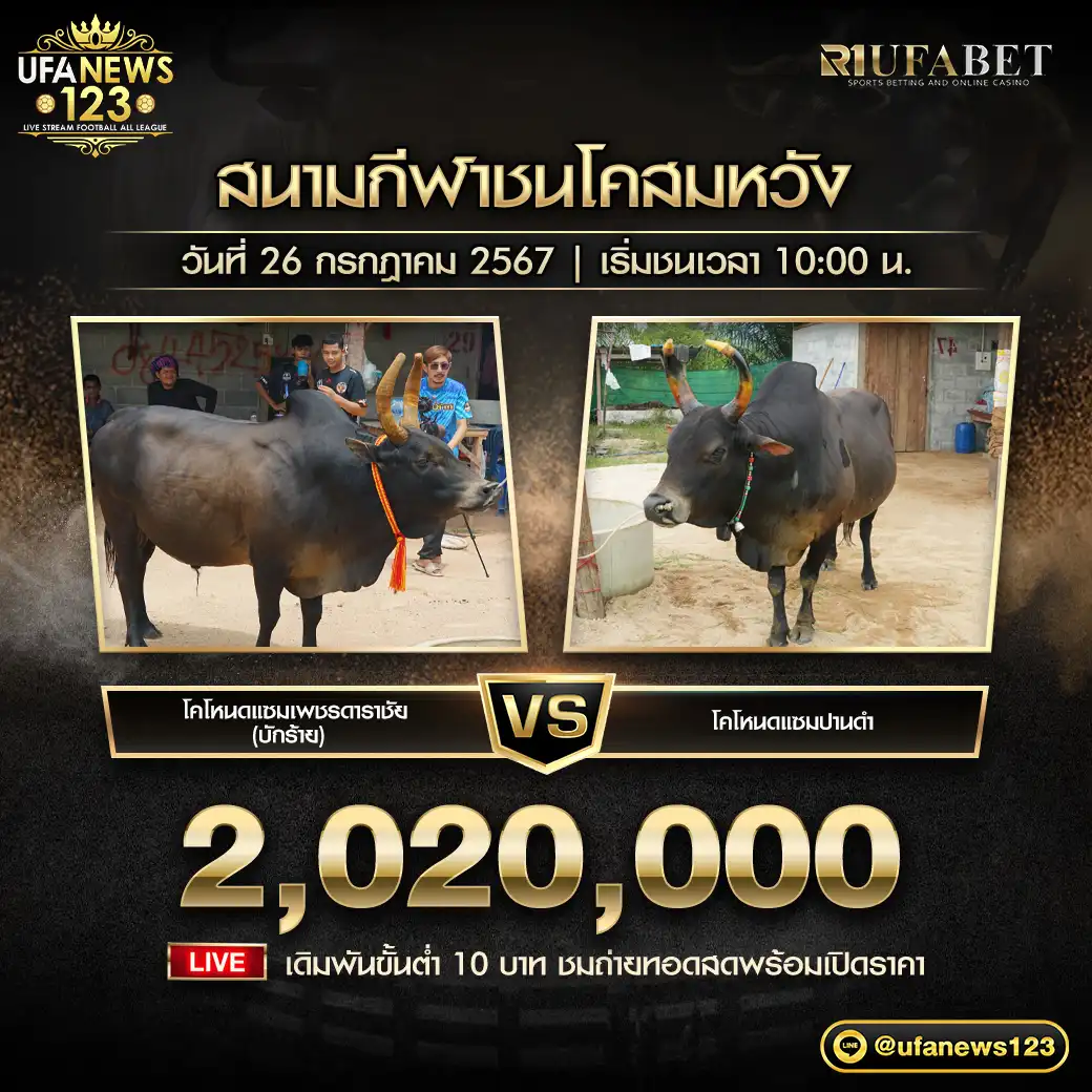 โคโหนดแซมเพชรดาราชัย (บักร้าย) VS โคโหนดแซมปานดำ ชิงรางวัล 2,020,000 บาท