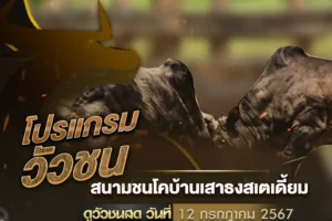 โปรแกรมวัวชน 12 กรกฎาคม 2567