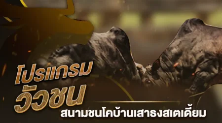 โปรแกรมวัวชน 12 กรกฎาคม 2567