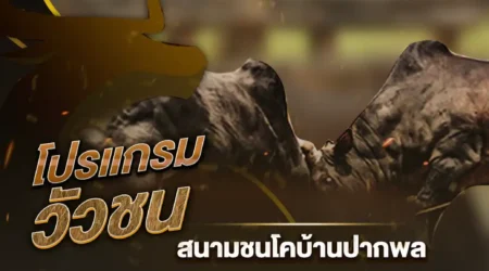 โปรแกรมวัวชน 15 กรกฎาคม 2567