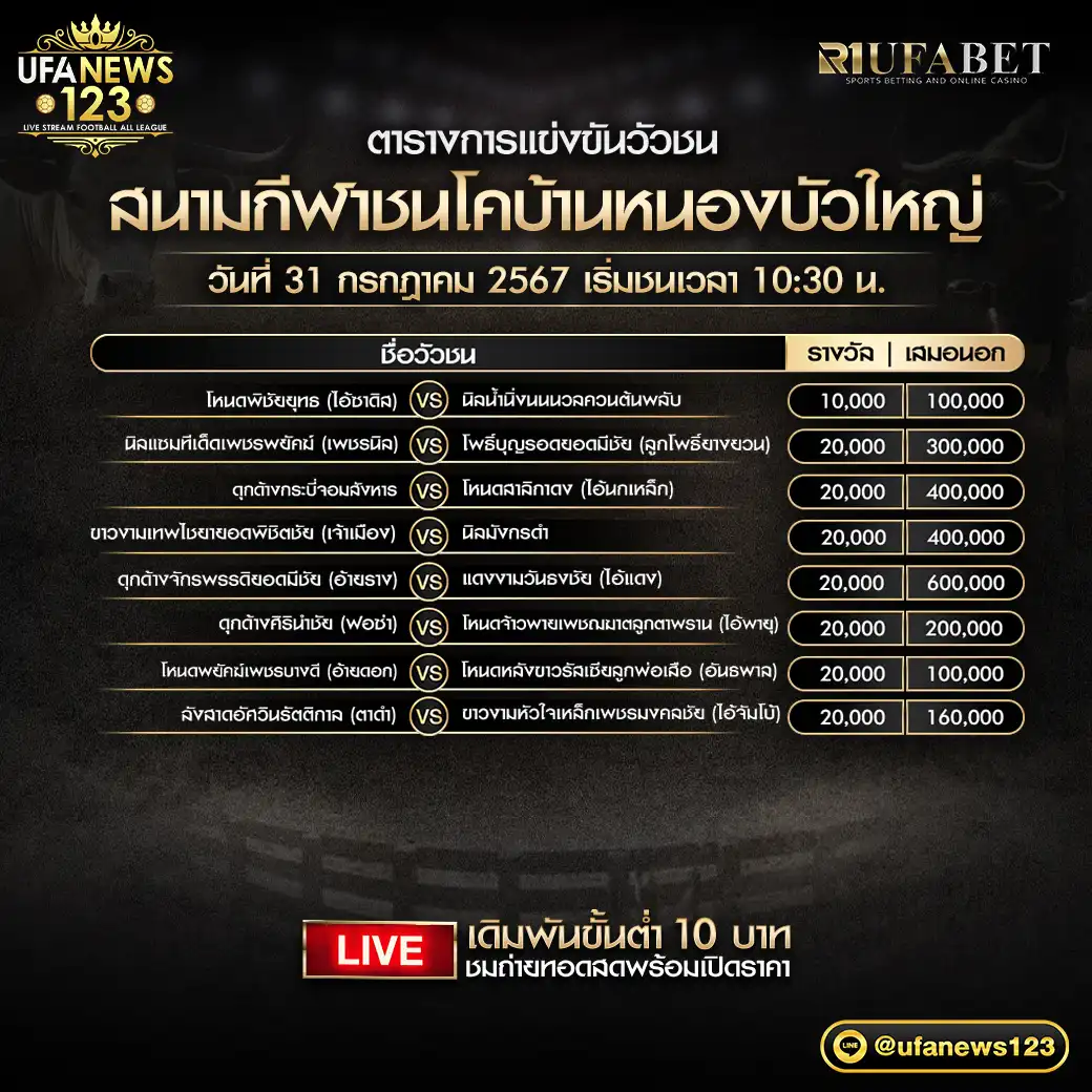 โปรแกรมวัวชน สนามชนโคบ้านหนองบัวใหญ่ เริ่มชนเวลา 10:30 น. 31 กรกฎาคม 2567