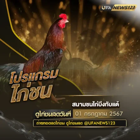 โปรแกรมไก่ชน 01 กรกฎาคม 2567