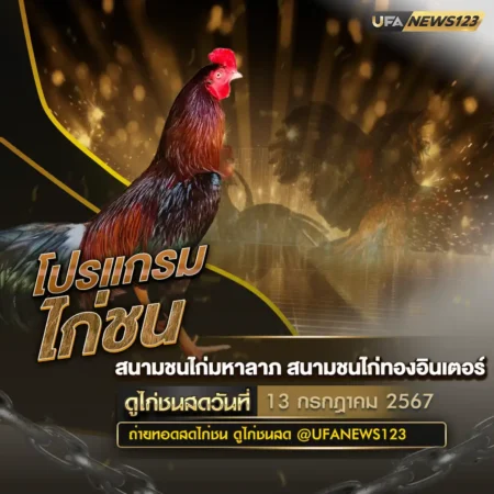 โปรแกรมไก่ชน 13 กรกฎาคม 2567