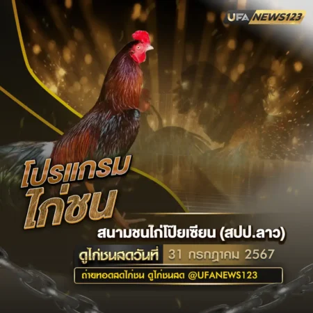 โปรแกรมไก่ชน 31 กรกฎาคม 2567