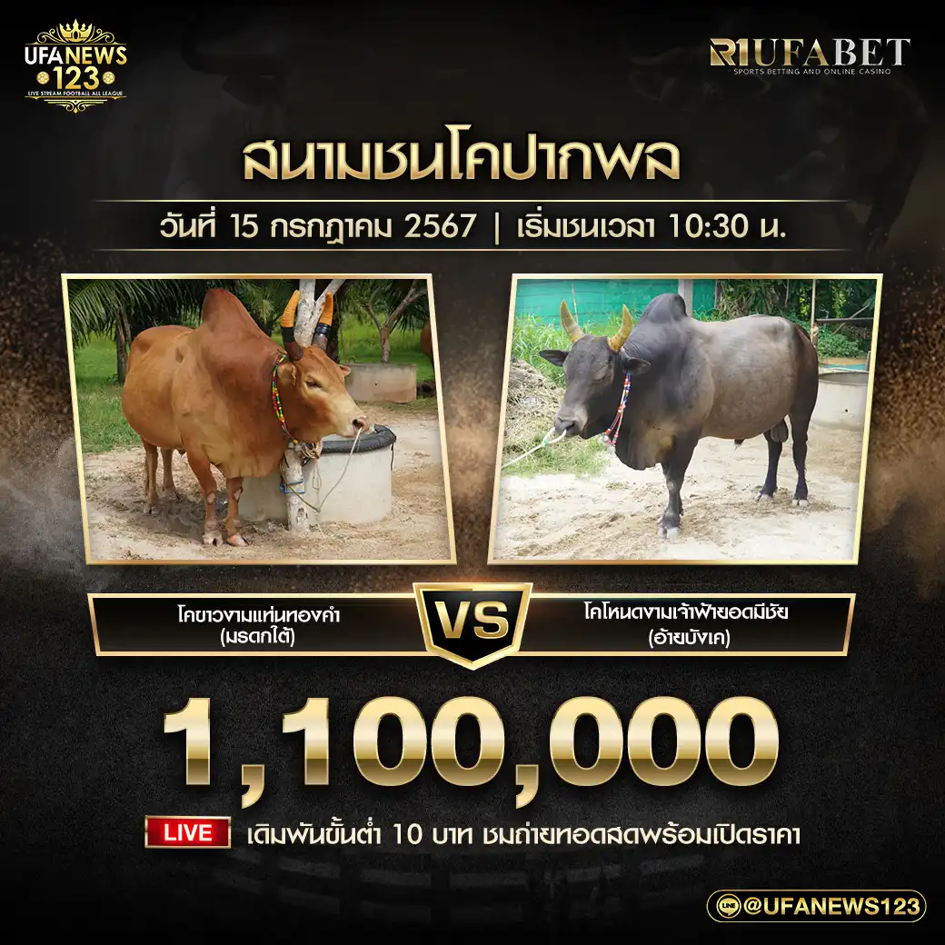 โหนดงามเจ้าฟ้ายอดมีชัย (อ้ายยังเด) VS ขาวงามแห่นทองคำ (มรดกใต้) ชิงรางวัล 1,100,000 บาท