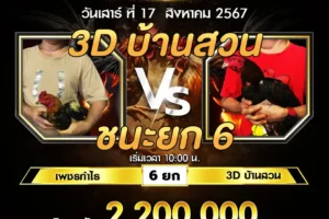 เทปไก่ชน เพชรกำไร VS 3D บ้านสวน 17 สิงหาคม 2567