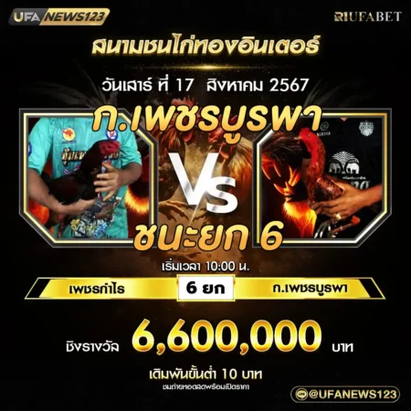 เทปไก่ชน เพชรกำไร VS ก.เพชรบูรพา 17 สิงหาคม 2567