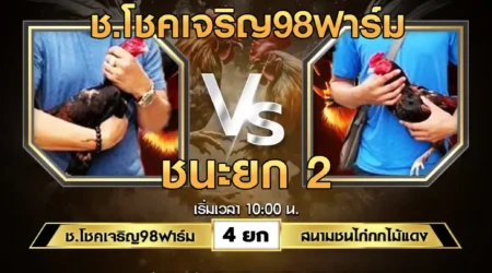 เทปไก่ชน ช.โชคเจริญ98ฟาร์ม VS สนามชนไก่กกไม้แดง 10 สิงหาคม 2567