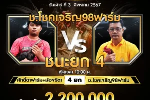 เทปไก่ชน ศักดิ์ดาฟาร์ม VS ช.โชคเจริญ98ฟาร์ม 03 สิงหาคม 2567