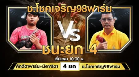 เทปไก่ชน ศักดิ์ดาฟาร์ม VS ช.โชคเจริญ98ฟาร์ม 03 สิงหาคม 2567