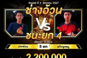 เทปไก่ชน ช่างอ้วน VS แก๊งลูกหมู 03 สิงหาคม 2567