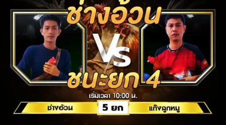 เทปไก่ชน ช่างอ้วน VS แก๊งลูกหมู 03 สิงหาคม 2567