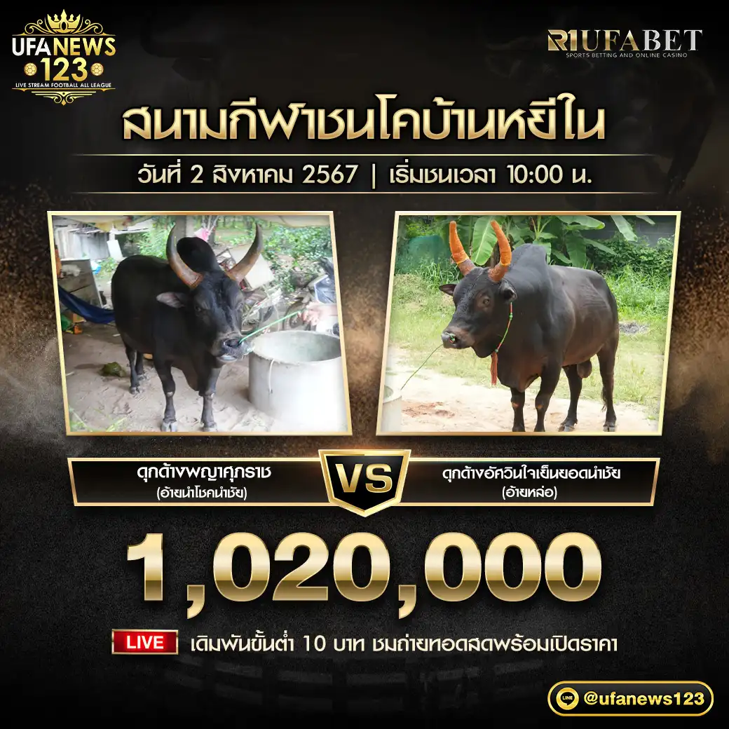 ดุกด้างพญาศุภราช (อ้ายนำโชคนำชัย) VS ดุกด้างอัศวินใจเย็นยอดนำชัย (อ้ายหล่อ) ชิงรางวัล 1,020,000 บาท