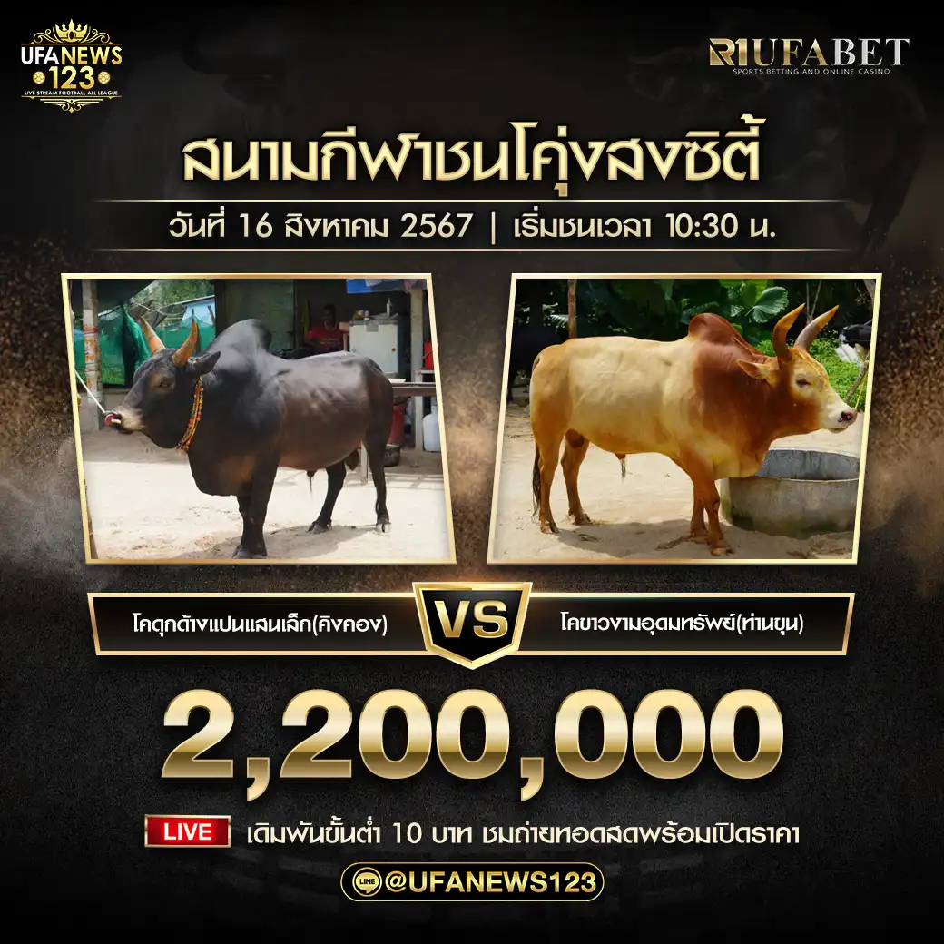 ดุกด้างแปดแสนเล็ก (คิงคอง) VS ขาวงามอุดมทรัพย์ (ท่านขุน) ชิงรางวัล 2,020,000 บาท