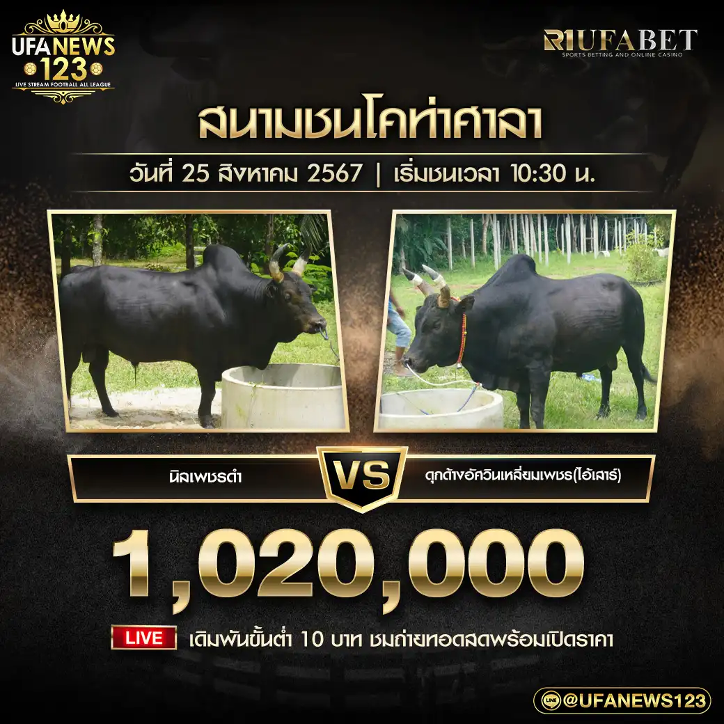 นิลเพชรดำ VS ดุกด้างอัศวินเหลี่ยมเพชร(ไอ้เสาร์) ชิงรางวัล 1,020,000 บาท