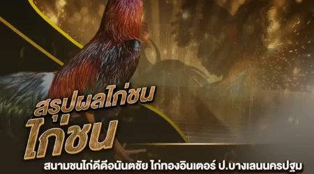 ผลไก่ชน 03 สิงหาคม 2567