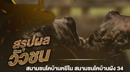 ผลวัวชน 05 สิงหาคม 2567